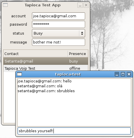 Tapioca Test Screenshot
